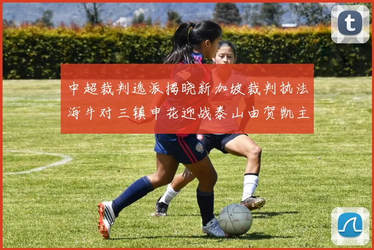 中超裁判选派揭晓新加坡裁判执法海牛对三镇申花迎战泰山由贺凯主哨